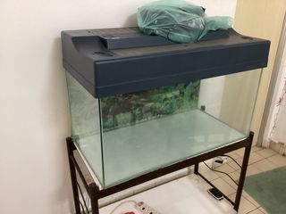 (Category: ) located in . Submitted by lingphc (Listing ID 1386422746, Image 1). Description: .
