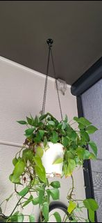 (Category: ) located in . Submitted by daylias (Listing ID 1386446899, Image 1). Description: .