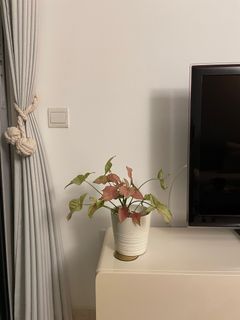 (Category: ) located in . Submitted by llsgp (Listing ID 1386540739, Image 1). Description: .