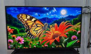 (Category: ) located in . Submitted by rollrock (Listing ID 1386444085, Image 1). Description: .