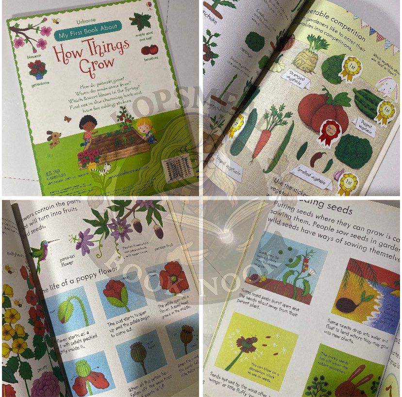Usborne HOW THINGS GROW PLANTS STICKER BOOK (Category: Children's Books) located in Lucena. Submitted by hopsmeadbnook (Listing ID 1386548627, Image 2). Description: - stickers have been placed on their positions but still readable ! 🫶🏻 - can lower price for sure buyer and bulk buyer only 1 copy left !.