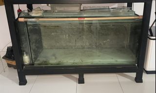 (Category: ) located in . Submitted by adenium_bonding_singapore (Listing ID 1386588782, Image 1). Description: .
