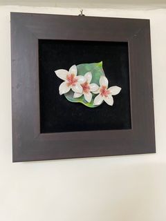 由 a09081123322398 (刊登 ID 1386726575，圖片 1) 提交，位於 的 (類別：)，說明：。