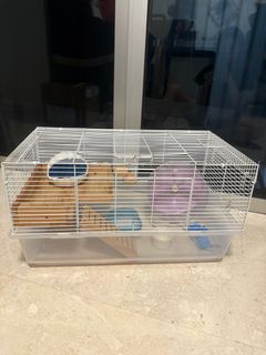 (Category: ) located in . Submitted by brighttree.716a19_cat (Listing ID 1386699210, Image 1). Description: .