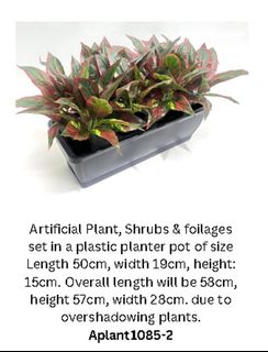 (Category: ) located in . Submitted by altonflowerscomm (Listing ID 1386598638, Image 1). Description: .