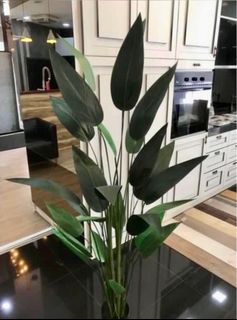 (Category: ) located in . Submitted by jacksonlau533 (Listing ID 1386690284, Image 1). Description: .