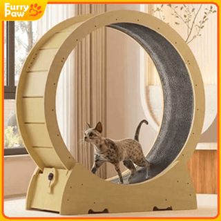 (Category: ) located in . Submitted by onlyqmall (Listing ID 1386612070, Image 1). Description: .