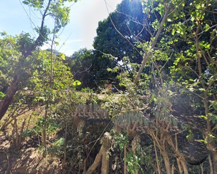 Farm lot for Sale (Category: Lot) located in Baliuag. Submitted by royalhawk.2710c0 (Listing ID 1385644638, Image 2). Description: Farm lot loc: Tukod,SanRaphael BULACAN Area: 67,378sqmtr Price: 2k/sqmtr Good for subdivision,farm ware house..near road near to main road..mountain view w/ more or less 1,500 mango trees.