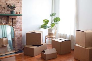 (Category: ) located in . Submitted by abovegroundshopper (Listing ID 1386760719, Image 1). Description: .