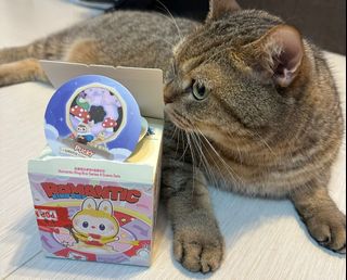（分類：）位於 。 由 dorisroy1214 提交（商品編號 1386594002，圖片 1）。簡介： 。