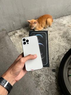 (Kategori: ) berada di . Dikirim oleh rogersiburian23 (ID iklan 1386853652, Gambar 1). Deskripsi: .