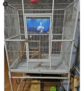 (Category: ) located in . Submitted by ozgt24 (Listing ID 1386937233, Image 1). Description: .