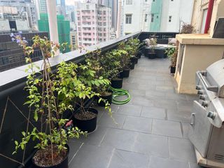 （分類：）位於 。 由 dommc 提交（商品編號 1386821053，圖片 1）。簡介： 。