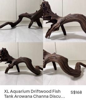 (Category: ) located in . Submitted by onlineshopqueen (Listing ID 1386808155, Image 1). Description: .