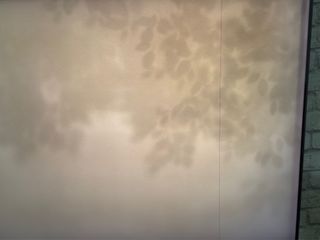 (Category: ) located in . Submitted by bbdsc (Listing ID 1387107120, Image 1). Description: .