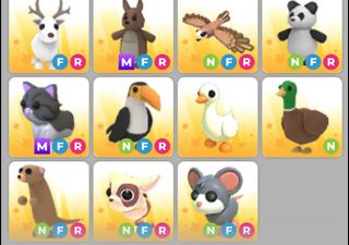 100+ Roblox adopt me account For Sale In-Game Products