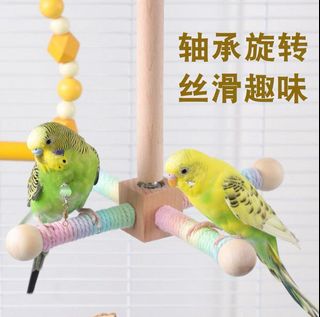 Lovebirds For Sale Buy 100+ Lovebirds online Carousell Singapore