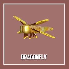 Dragonfly - (Read Description) Grow A Garden (Category: In-Game Products) located in Manila. Submitted by sellercyps99 (Listing ID 1387030891, Image 1). Description: send your offer to my listing called " Send Offer Here" so I can respond to you.