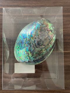 (Category: ) located in . Submitted by wateroceaner (Listing ID 1386991457, Image 1). Description: .