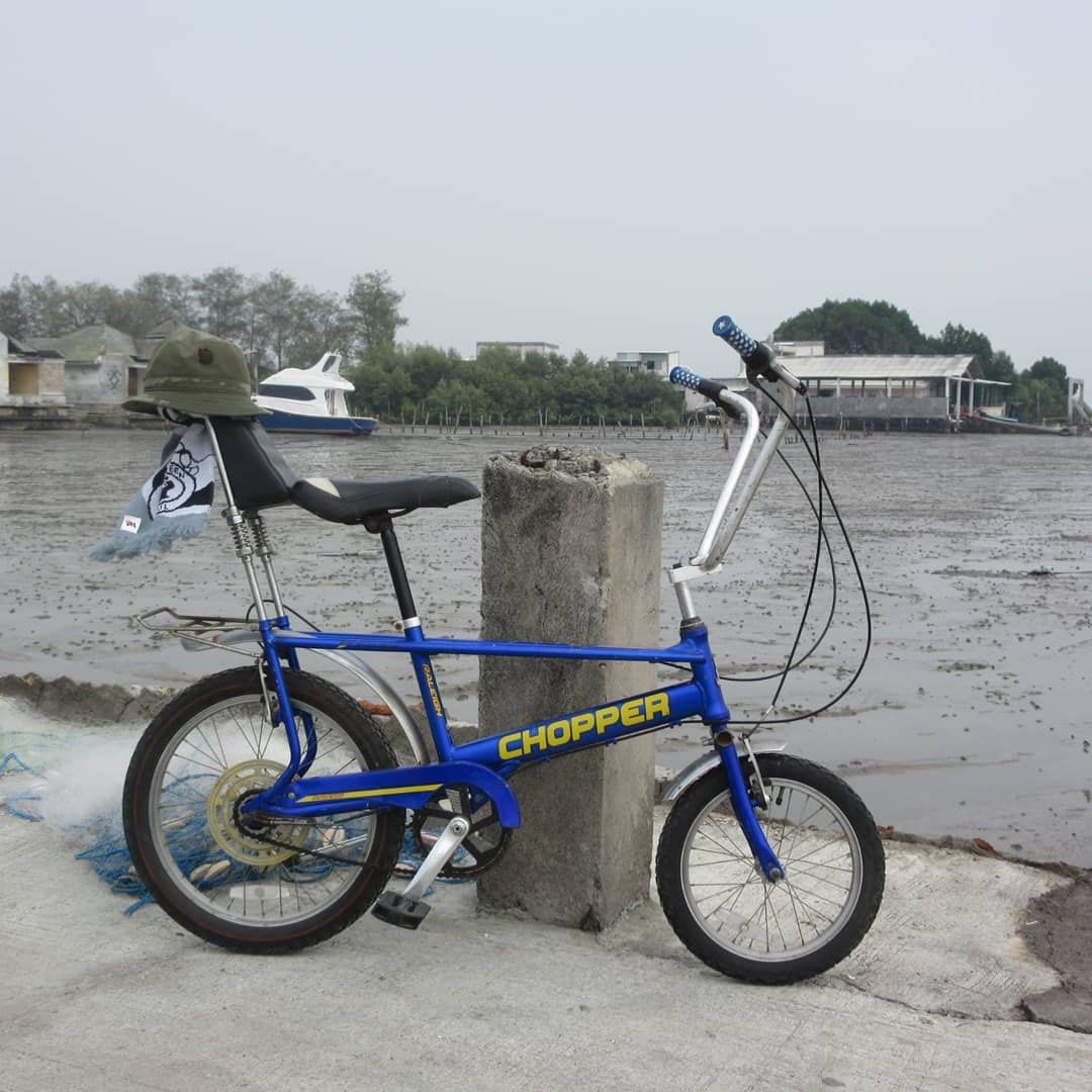 Blue Raleigh Chopper Raleigh Chopper Mk3 argos Blue Gear Sturmey Archer Original Tire Only ...