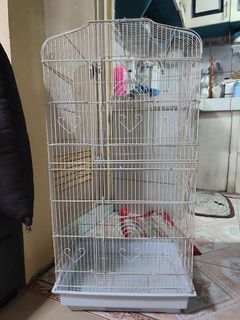 (Category: ) located in . Submitted by aianngle (Listing ID 1387100520, Image 1). Description: .