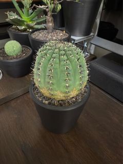 （分類：）位於 。 由 mysundaymorning 提交（商品編號 1387336946，圖片 1）。簡介： 。