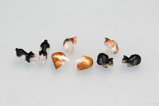 （分類：）位於 。 由 hi202020ch 提交（商品編號 1387247226，圖片 1）。簡介： 。