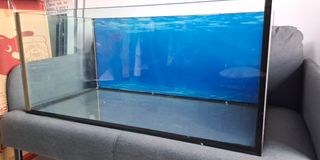 (Category: ) located in . Submitted by liewbarnabas (Listing ID 1387257314, Image 1). Description: .