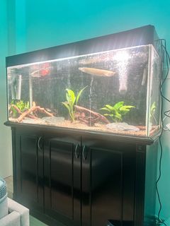 (Category: ) located in . Submitted by benjamingrahamkhoo (Listing ID 1387302877, Image 1). Description: .