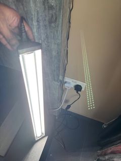 (Category: ) located in . Submitted by mksar (Listing ID 1387188725, Image 1). Description: .