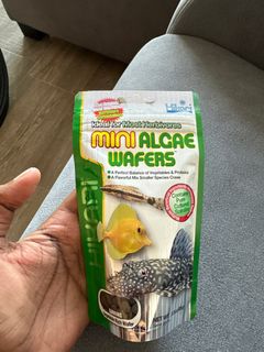 (Category: ) located in . Submitted by azurecyanide (Listing ID 1387160745, Image 1). Description: .