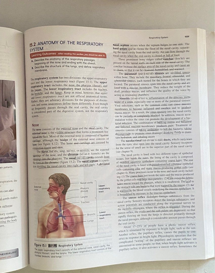 Seeley's Anatomy and Physiology (10th Ed) (Category: Textbooks) located in Angeles City. Submitted by vinshells (Listing ID 1387220139, Image 2). Description: - wrapped - good condition - few pencil marks.