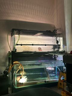 (Category: ) located in . Submitted by heilong69 (Listing ID 1387511244, Image 1). Description: .