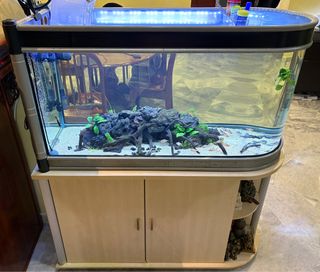 (Category: ) located in . Submitted by j2y123 (Listing ID 1383268582, Image 1). Description: .