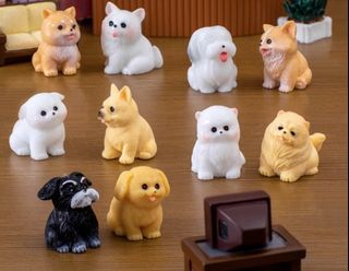 (Category: ) located in . Submitted by snowystore (Listing ID 1387444896, Image 1). Description: .