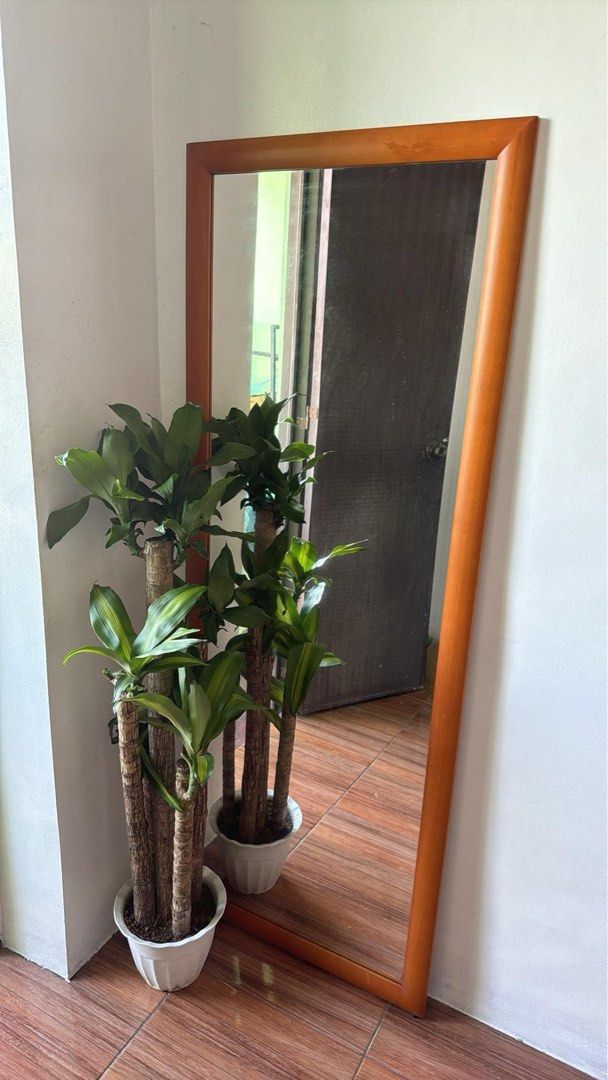 Full Bidy Mirror - Japan surplus (Category: Office Furniture & Fixtures) located in Makati City. Submitted by thiftdirection (Listing ID 1387479100, Image 3). Description: Full Body Mirror- Japan surplus Frame made of solid wood. 24x63 inches.