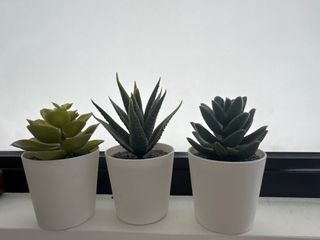 （分類：）位於 。 由 16030ct 提交（商品編號 1387403005，圖片 1）。簡介： 。