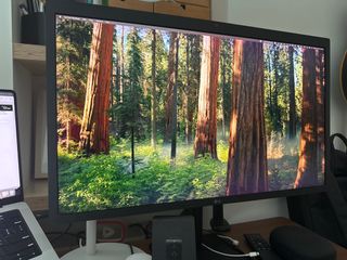 (Category: ) located in . Submitted by sahaj (Listing ID 1387419130, Image 1). Description: .