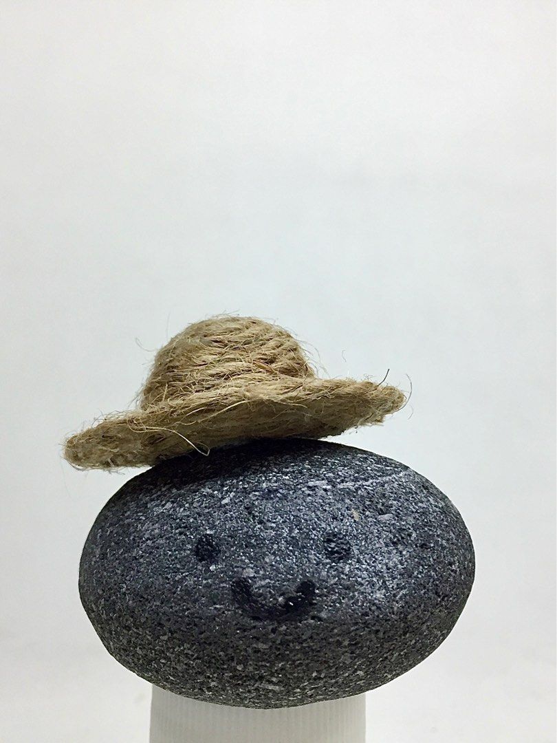 Pet Rock Batu Peliharaan
