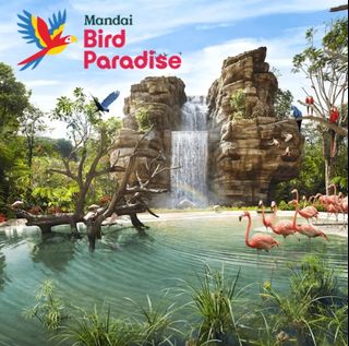 30 to 40 % discounted Attraction Tickets Collection item 3