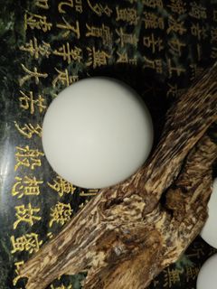 (Category: ) located in . Submitted by sandylim0805 (Listing ID 1387642071, Image 1). Description: .