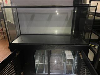 由 a123pig (刊登 ID 1387663726，圖片 1) 提交，位於 的 (類別：)，說明：。