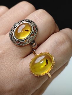 女裝昆蟲琥珀銀鑲活口戒指
17×13.1×8.2mm2.7g含托
19.6×16.9×6.9mm4.1g含托
HK＄336(1隻)不議
定驚、辟邪、調理血液循環、舒緩肌肉關節疼痛與緊張，更是人們心中吉祥富貴的表徵。
               💫琥珀蜜蠟💫
          👍《養生有機寶石》👍64197763026435110