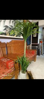 (Category: ) located in . Submitted by 8888s8888m83162 (Listing ID 1387660409, Image 1). Description: .