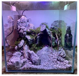 (Category: ) located in . Submitted by tropicube (Listing ID 1387548630, Image 1). Description: .