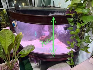 (Category: ) located in . Submitted by a.reborn (Listing ID 1387689882, Image 1). Description: .