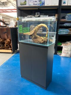 (Category: ) located in . Submitted by fins.n.paws (Listing ID 1384278833, Image 1). Description: .