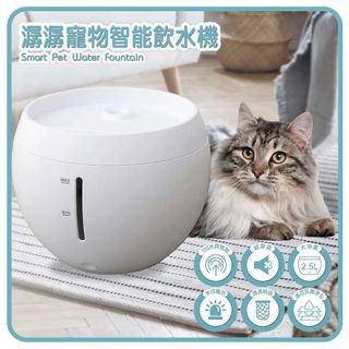 由 shan8211185090 (刊登 ID 1384243069，圖片 1) 提交，位於 的 (類別：)，說明：。