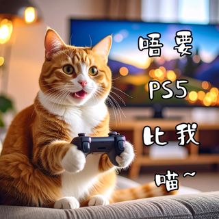 （分類：）位於 。 由 psgamecat 提交（商品編號 1384244938，圖片 1）。簡介： 。