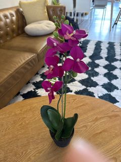 (Category: ) located in . Submitted by slt_rd (Listing ID 1384258020, Image 1). Description: .